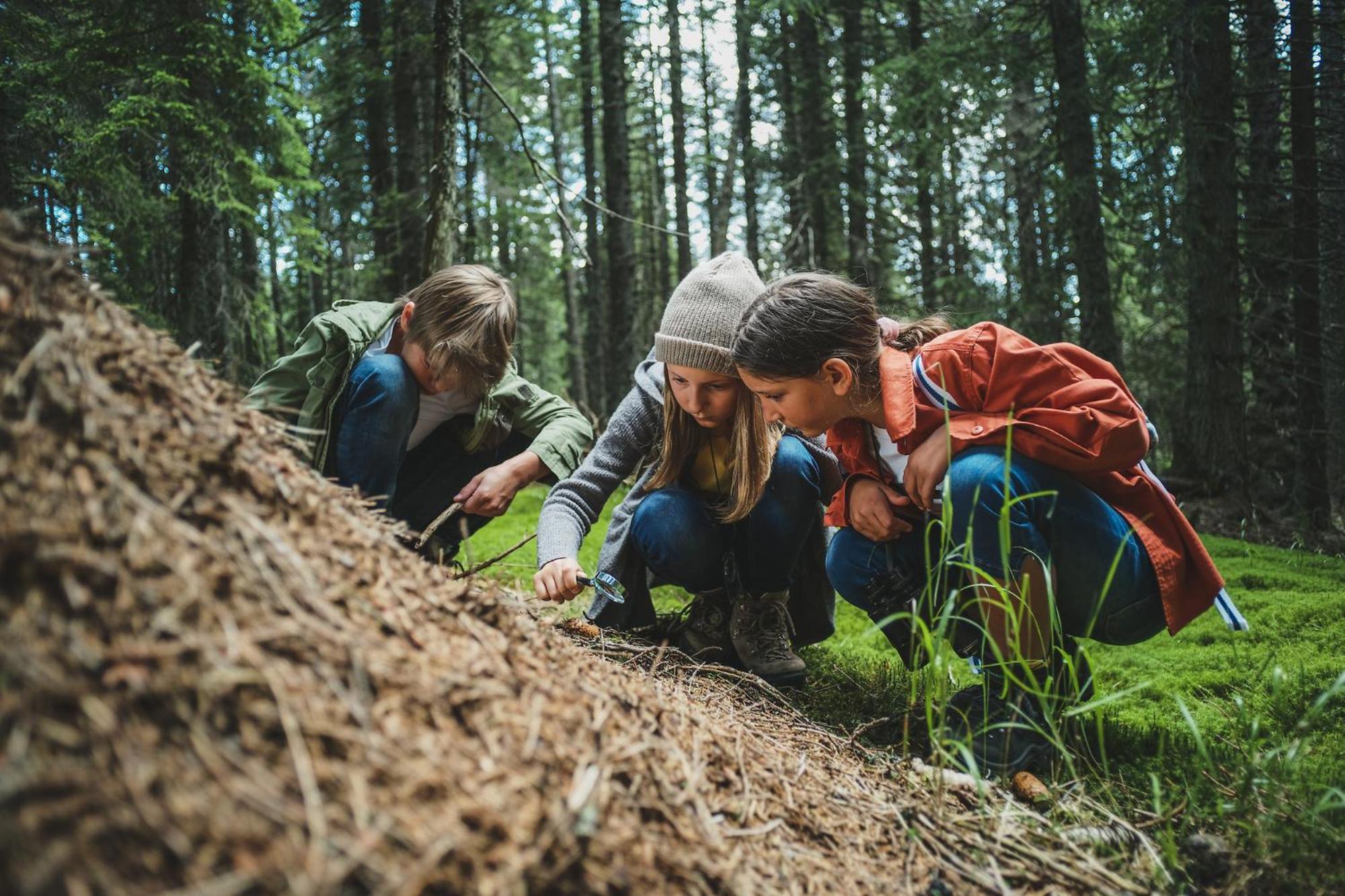 Pohorje Village Wellbeing Resort - Forest Hotel Videc Hočko Pohorje Zewnętrze zdjęcie