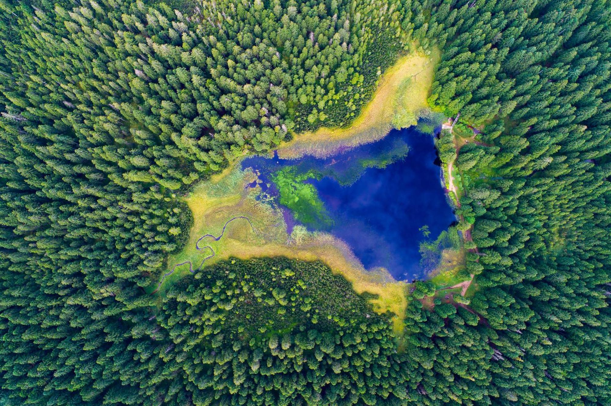 Pohorje Village Wellbeing Resort - Forest Hotel Videc Hočko Pohorje Zewnętrze zdjęcie